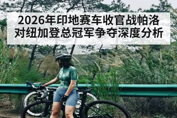 2026年印地赛车收官战帕洛对纽加登总冠军争夺深度分析